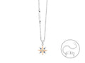 Collana uomo rosa dei venti Cesare Paciotti 4ucl7793