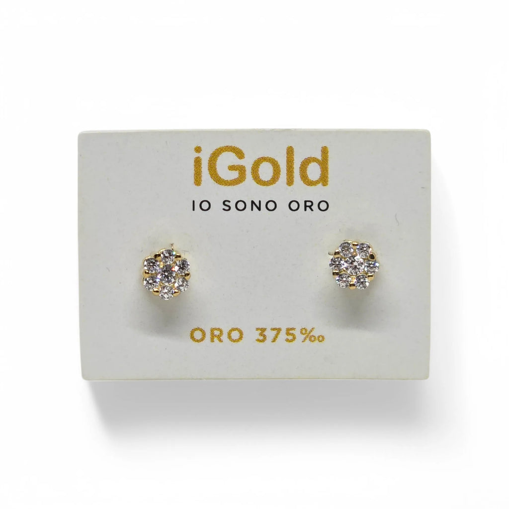 Orecchini in Oro 9kt 375 da Donna con Zirconi