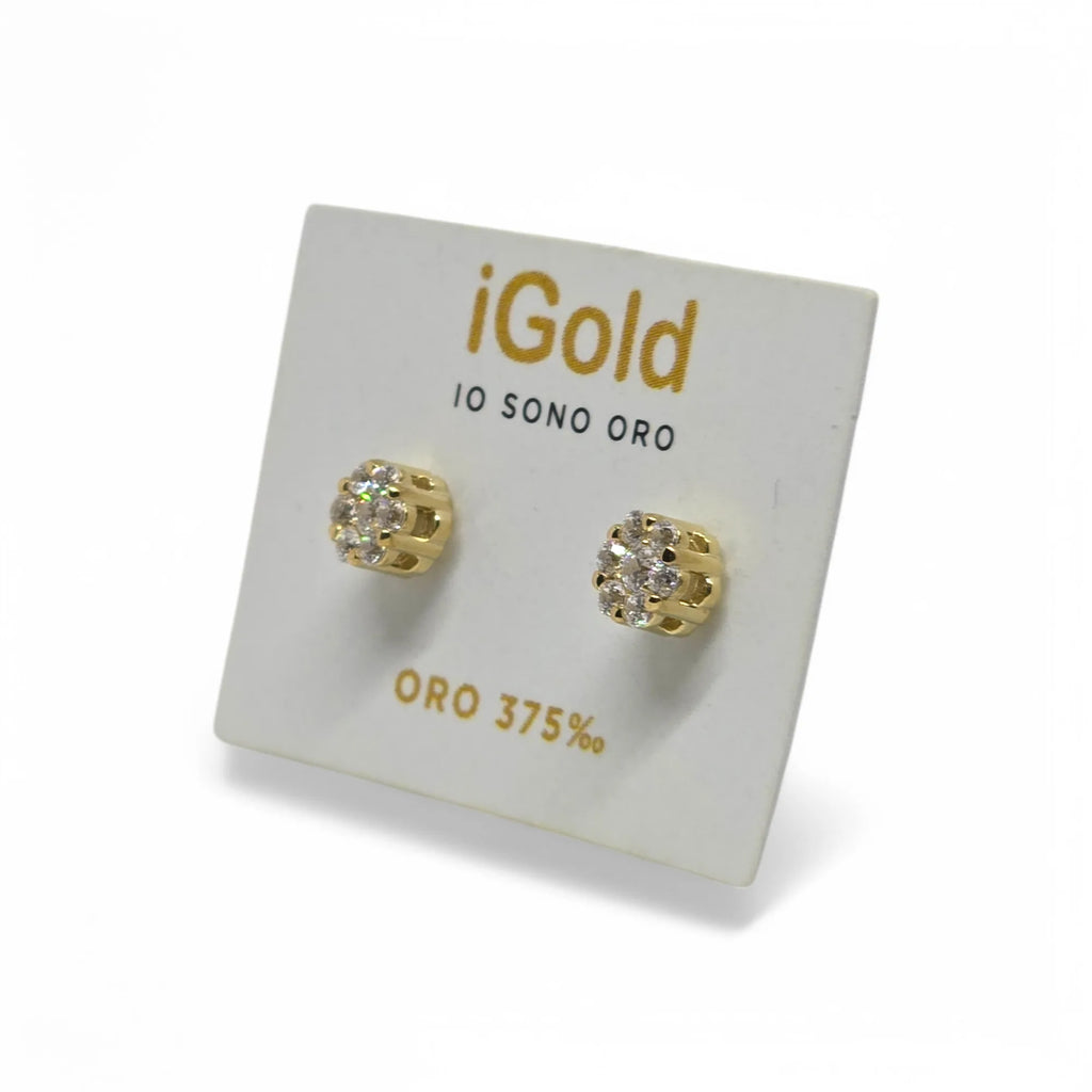 Orecchini in Oro 9kt 375 da Donna con Zirconi