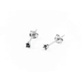 Ohrstecker Damen Schmuck 4US Cesare Paciotti 4UOR3878W