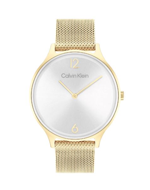 Orologio in acciaio 1681248 Calvin Klein da donna