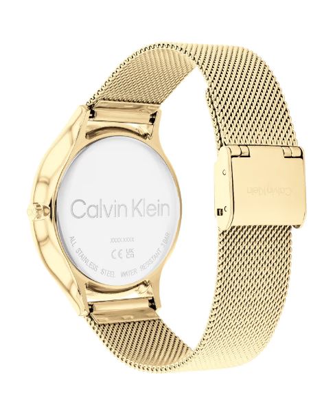 Orologio in acciaio 1681248 Calvin Klein da donna