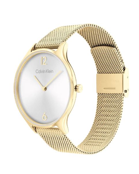 Orologio in acciaio 1681248 Calvin Klein da donna