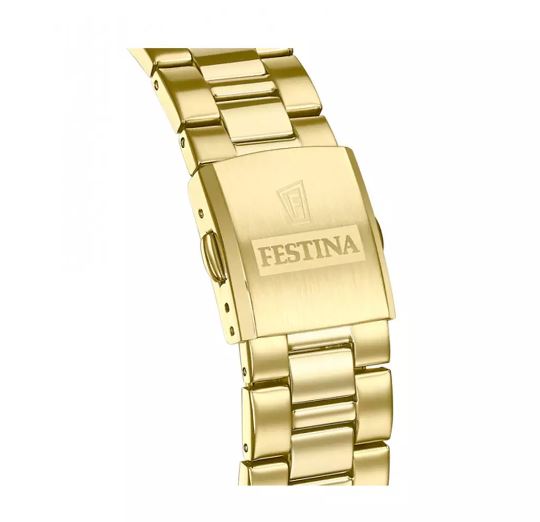 Orologio uomo Festina Timeless dorato F20633/3
