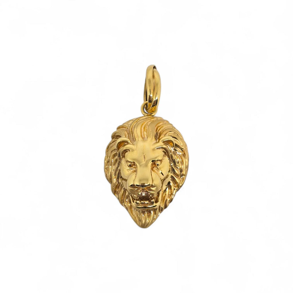 Pendente testa di leone in oro giallo 18 carati piccola