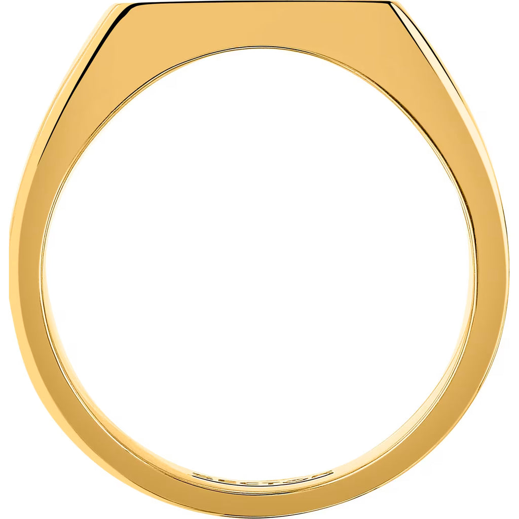 Anello uomo Sector in acciaio dorato Chevalier