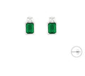 Orecchini in Argento 925 con Zirconi Verdi e Bianchi - 4US Cesare Paciotti 4UOR7179W