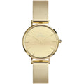 Orologio Daniel Wellington Petite Reflection DW00100797