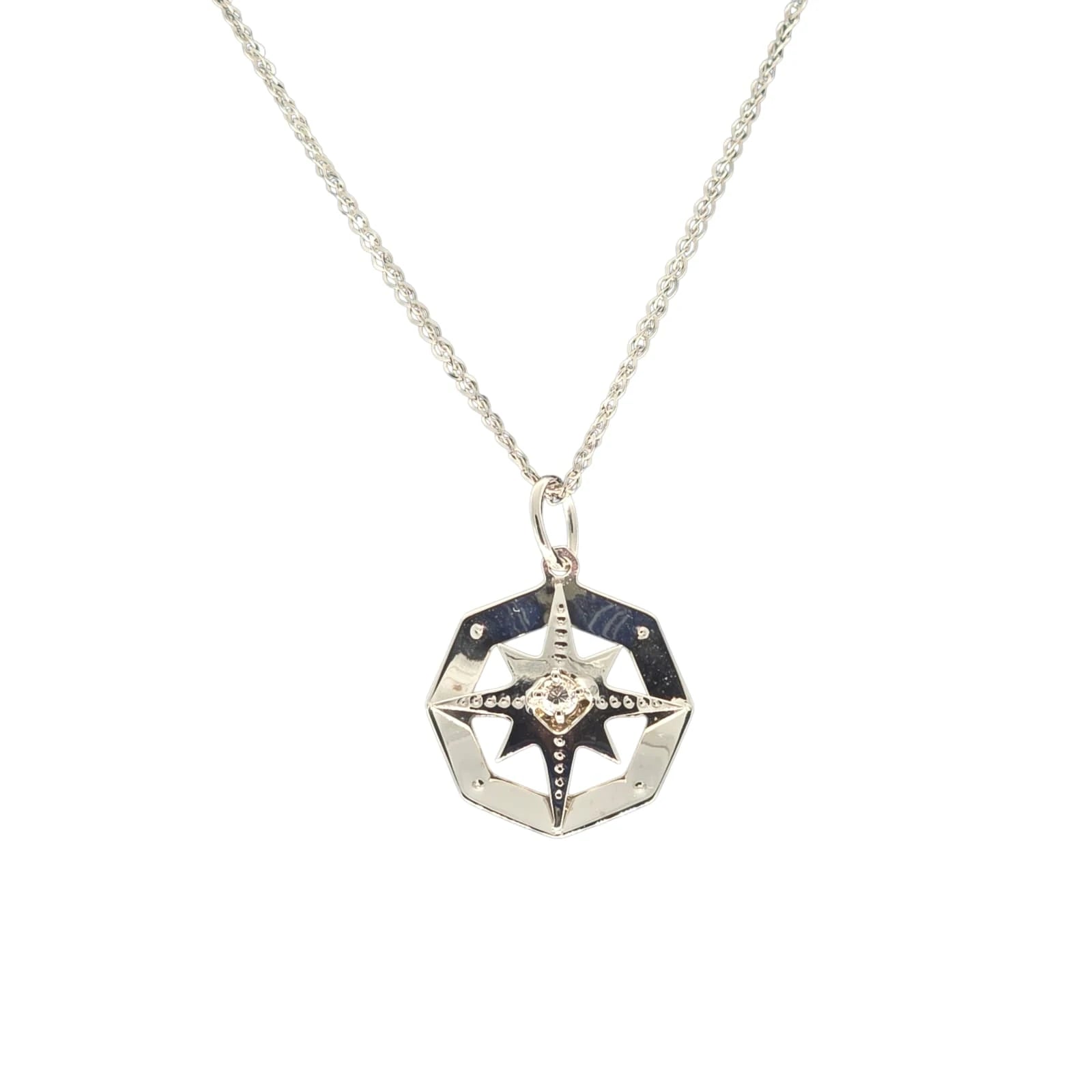 Herrenhalskette aus Weißgold mit Windrose und Diamant