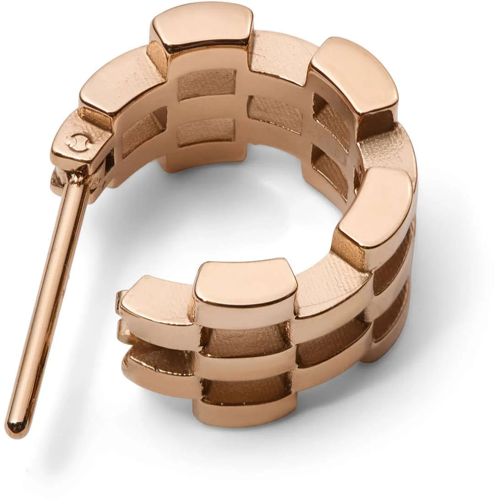 Orecchini donna gioielli Daniel Wellington Link Jewelry