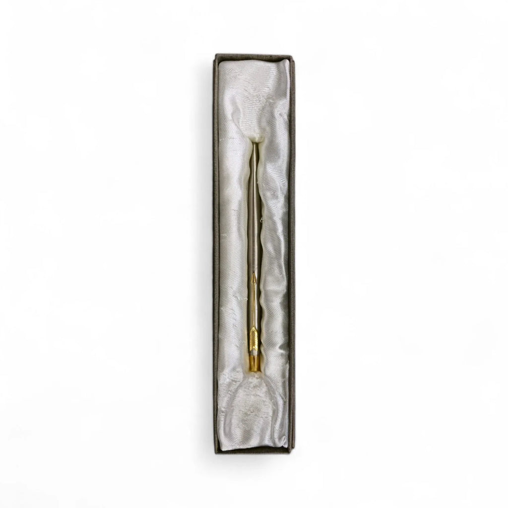 Penna in argento e rifiniture dorate con astuccio