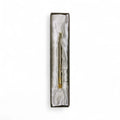 Penna in argento e rifiniture dorate con astuccio